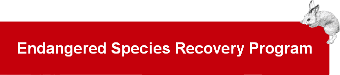 California State University Stanislaus, Endangered Species Recovery Program.  Rabbit graphic courtesey Tristan Edgarian